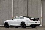 Ford Mustang GT Black Shadow 2019 года (LA)